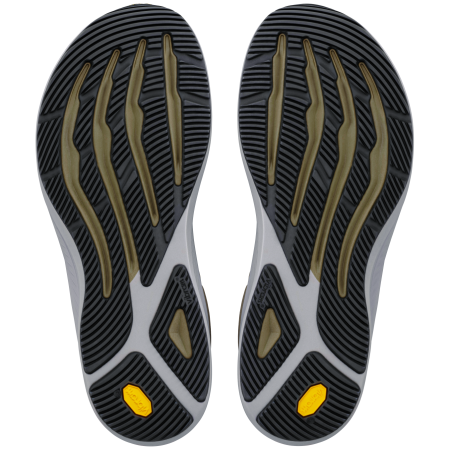 Чоловічі кросівки Altra Torin 9 Gtx