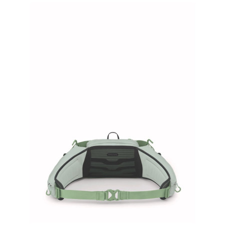 Поясна сумка Osprey Tempest 6