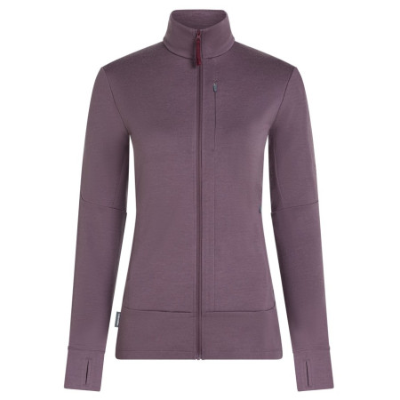 Жіноча кофта Icebreaker Women Merino 260 Quantum IV LS Zip