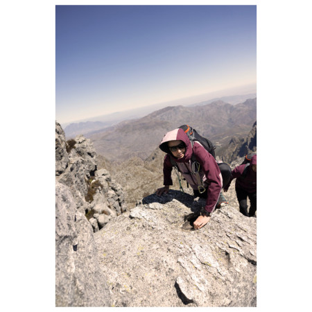 Жіноча куртка Dare 2b Assert II Jacket