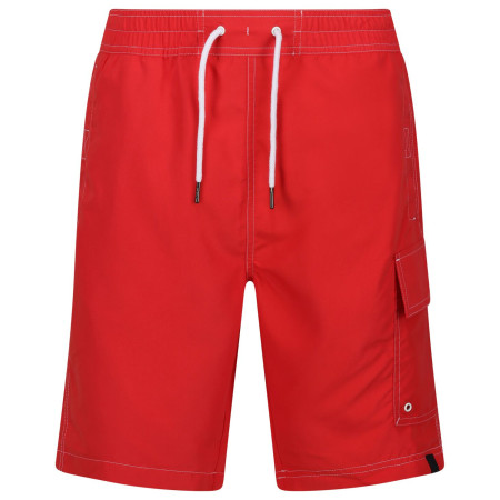 Чоловічі шорти Regatta Hotham BdShort IV