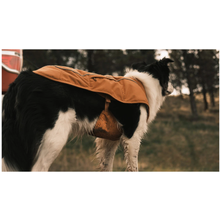 Одяг для собаки Ruffwear Overcoat Fuse™ Insulated Vest