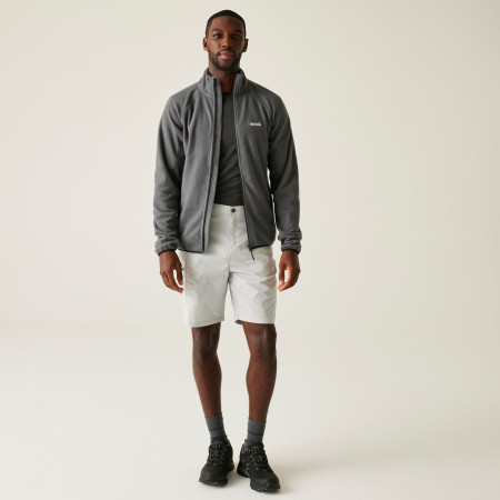 Чоловіча толстовка Regatta Hadfield