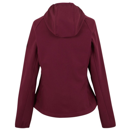 Жіноча куртка Regatta Wmns Arec III