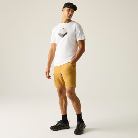 Чоловіча футболка Regatta Fingal Graphic T-Shirt