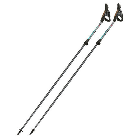 Палиці для скандинавської ходьби Fizan NW Carbon Pro Impulse