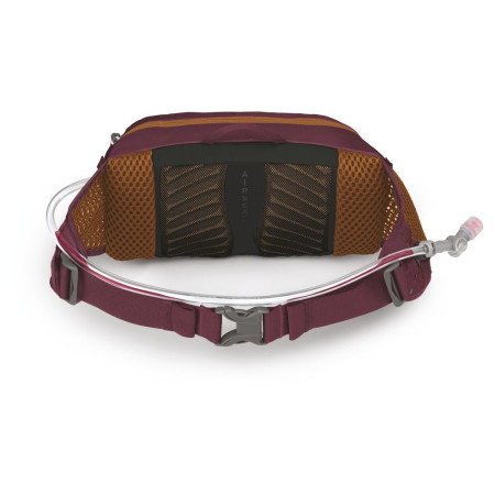 Поясна сумка Osprey Seral 4