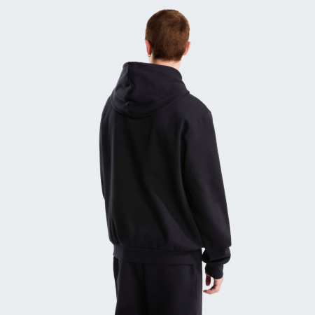 Чоловіча толстовка The North Face M Evolution Simple Dome Regular Hoodie