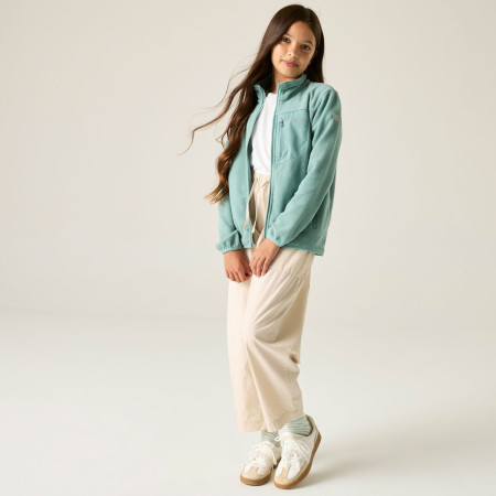 Дитяча толстовка Regatta Junior Frankie F/Z Ivy Moss