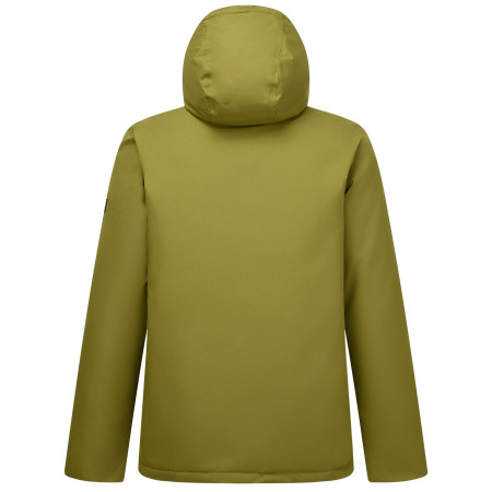 Чоловіча зимова куртка Regatta Frankie Insulated