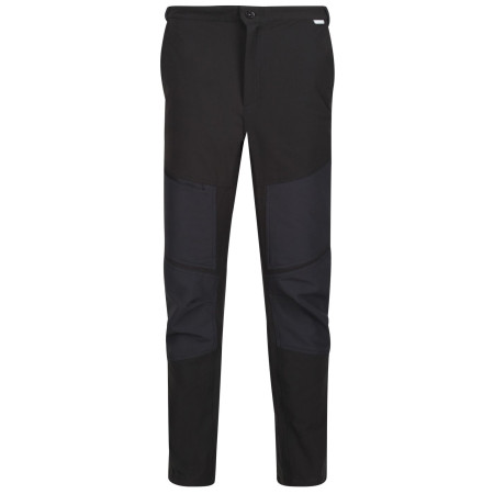 Чоловічі штани Regatta Questra IV