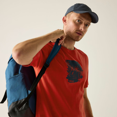 Чоловіча футболка Regatta Cline IX