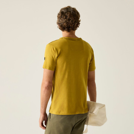 Чоловіча футболка Regatta Finlo