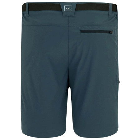 Чоловічі шорти Regatta Xert Stretch Shorts