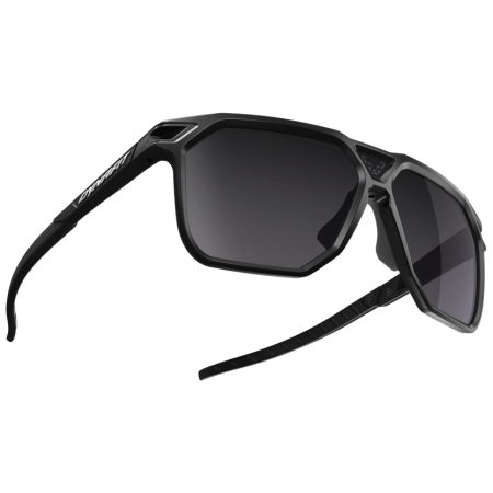 Сонцезахисні окуляри Dynafit Traverse Sunglasses