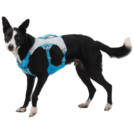 Шлея для собаки Ruffwear Swamp Cooler Harness