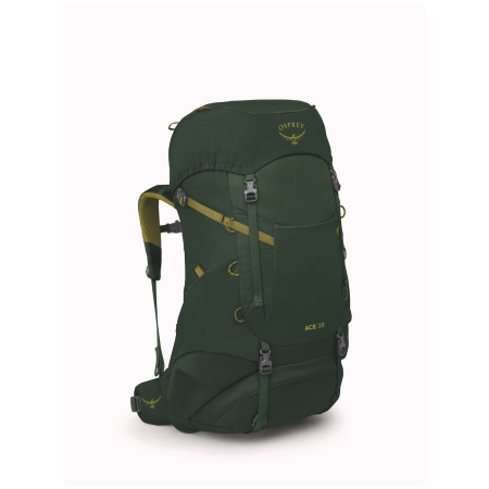 Дитячий рюкзак Osprey Ace 38 зелений green canopy/matcha green