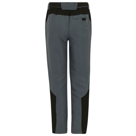 Дитячі штани Regatta Sorcer Mountain Trousers VII Dark Storm