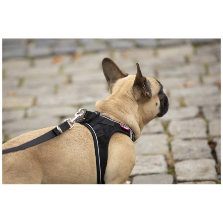Повідець для собаки Curli Adjustable Leash Nylon
