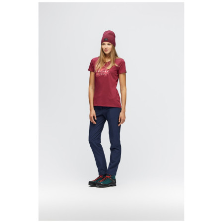 Жіночі штани Salewa TERMINAL DST W PNT