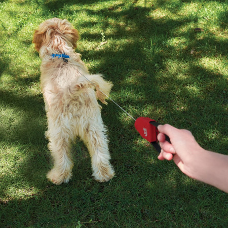 Повідець для собаки Nite Ize RadDog™ Retractable Pocket Leash