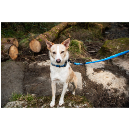 Повідець для собаки Mountain Paws Waterproof Dog Lead