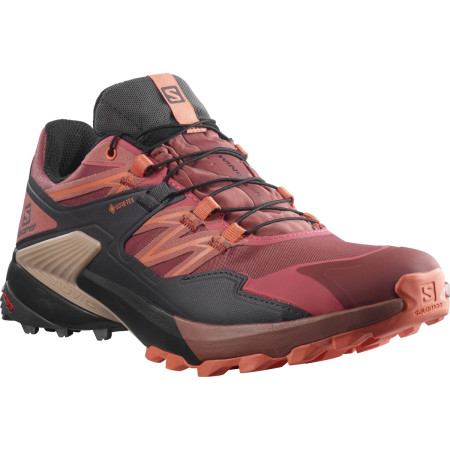Жіночі черевики Salomon Wings Sky Gore-Tex