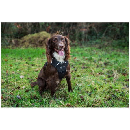 Шлея для собаки Mountain Paws Dog Harness