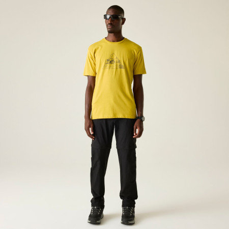 Чоловіча футболка Dare 2b Movement III Tee