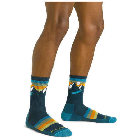 Чоловічі шкарпетки Darn Tough Sunset Ridge Micro Crew