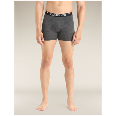 Чоловічі боксери Icebreaker Mens Anatomica Boxers
