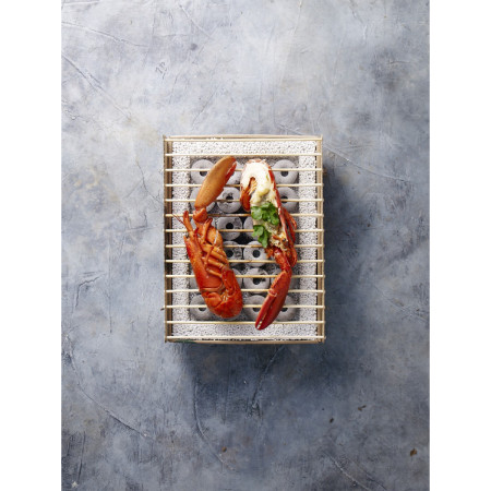 Одноразовий гриль CasusGrill Екологічний гриль