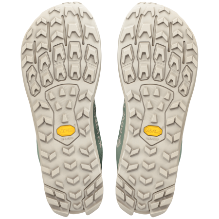 Чоловічі кросівки Altra Lone Peak 9+ GTX