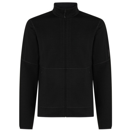 Чоловіча толстовка Icebreaker M Mer 400 RealFleece Descender LS Z чорний Black