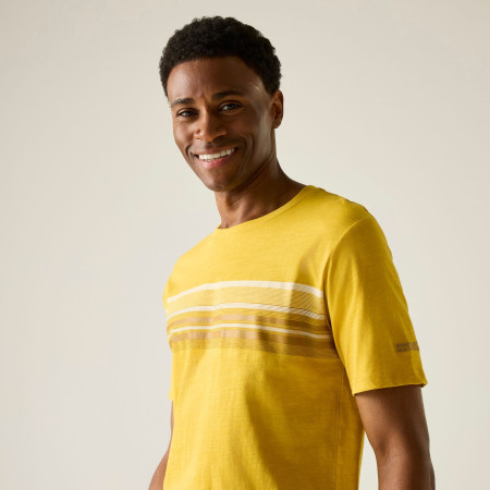 Чоловіча футболка Regatta Rendro