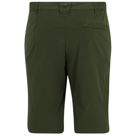 Чоловічі шорти Regatta Highton Shorts Long II