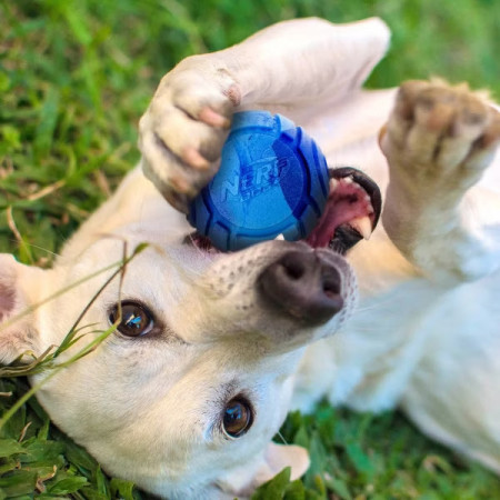 Іграшка для собак Nerf Dog Set Lightning & Sonic