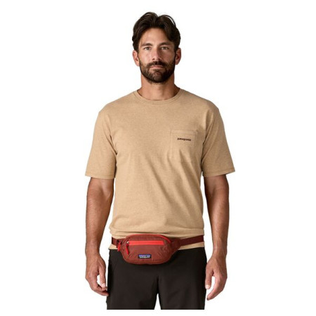 Поясна сумка Patagonia Terravia Mini Hip Pack