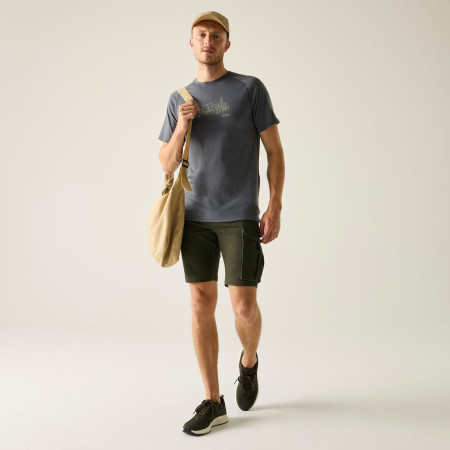 Чоловічі шорти Regatta Bendrick Shorts