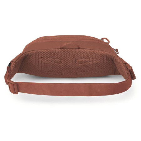 Поясна сумка Osprey Daylite Waist Pack