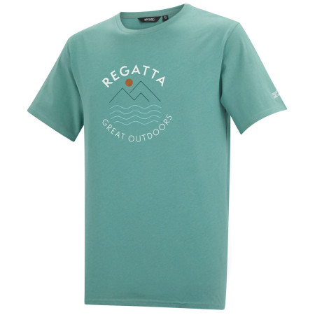 Чоловіча футболка Regatta Cline IX