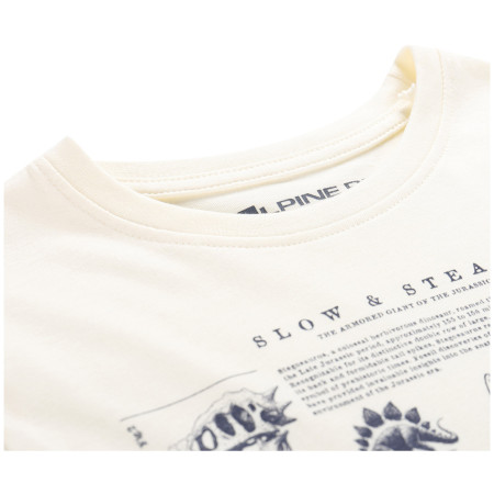 Дитяча футболка Alpine Pro Ecco 2