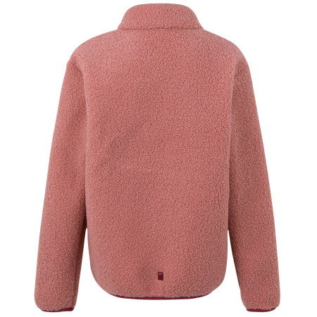 Дитяча толстовка Regatta Junior Frankie Warm Fleece