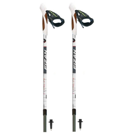 Палиці Fizan NW Fitness сірий/чорний