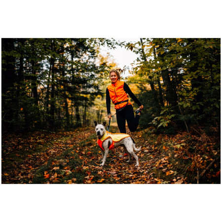 Світловідбивний жилет для собаки Ruffwear Lumenglow Hi-Viz Jacket