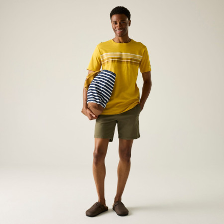 Чоловіча футболка Regatta Rendro