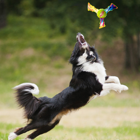 Іграшка для собак Nerf Dog Color Grip Tri Flyer 20 cm