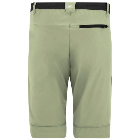 Чоловічі штани Regatta Mountain Z/O Trousers