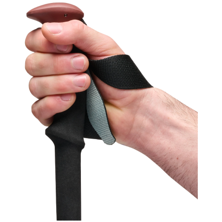 Трекінгові палиці Black Diamond Trail Trekking Poles