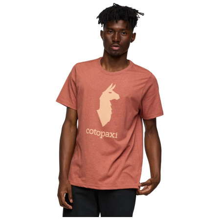 Чоловіча футболка Cotopaxi Cotopaxi Llama T-Shirt